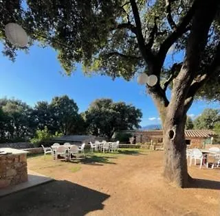 Maison L'oranger Avec Piscine - Domaine E Di Hébergement de vacances *