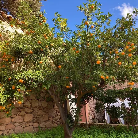 Maison L'oranger Avec Piscine - Domaine E Di * Cuttoli-Corticchiato