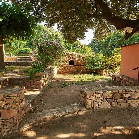 Maison L'oranger Avec Piscine - Domaine E Di Semesterbostad Cuttoli-Corticchiato
